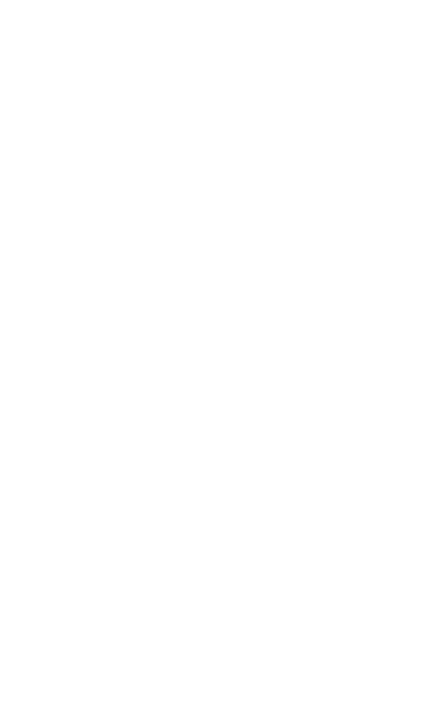 Ornamento decorativo izquierdo